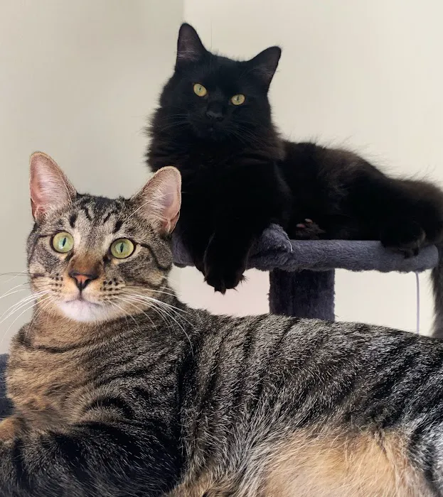 Pet Center Ltd Picture 10