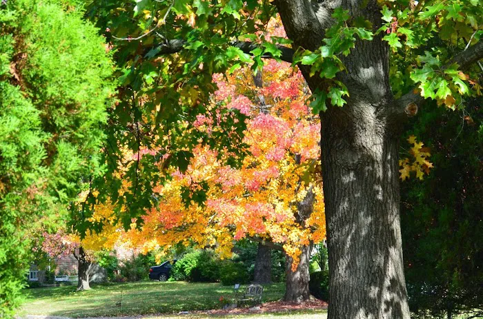 Claws N Paws Picture 2