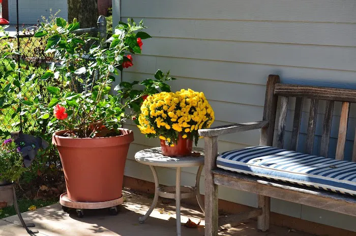 Claws N Paws Picture 1