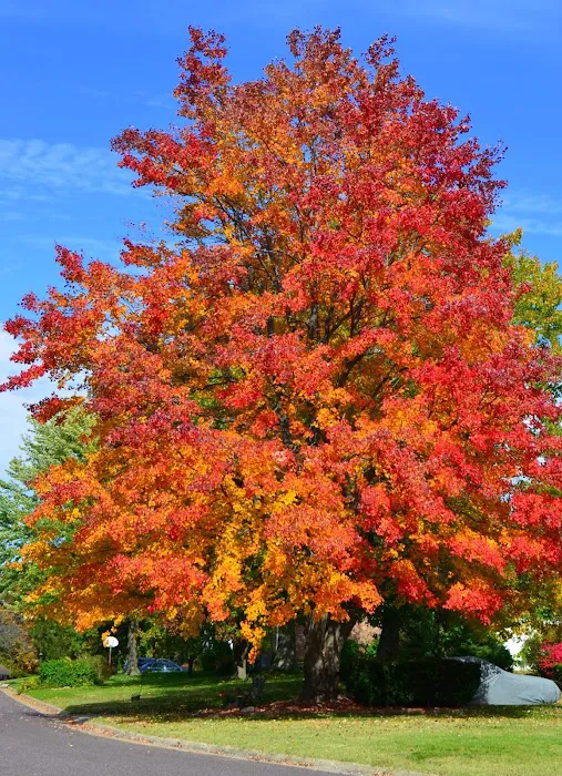 Claws N Paws Picture 5