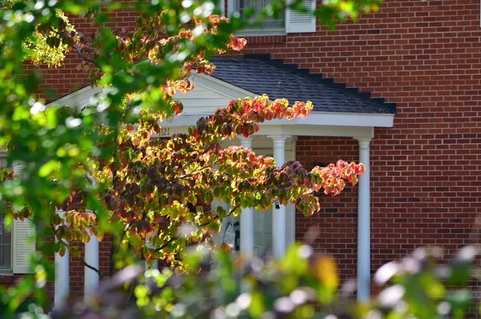 Claws N Paws Picture 3