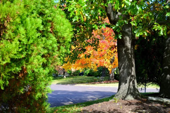 Claws N Paws Picture 9