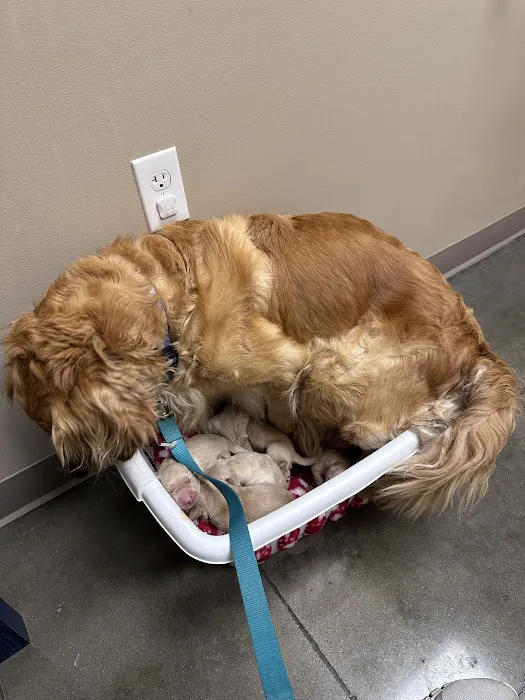 Horton Animal Hospital-Discovery Picture 4