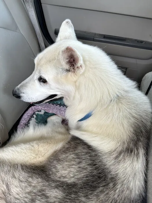 Horton Animal Hospital-Discovery Picture 5