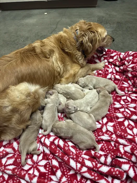 Horton Animal Hospital-Discovery Picture 3