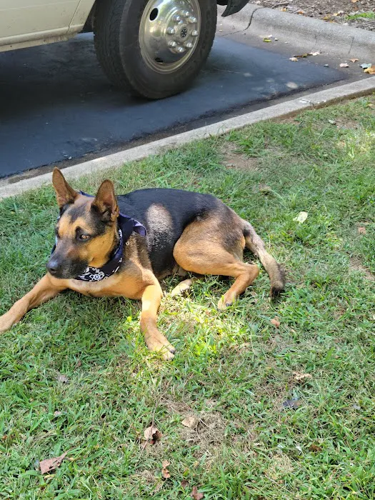 Horton Animal Hospital-Discovery Picture 9