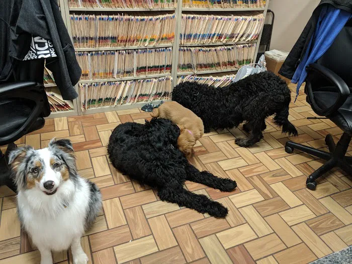 Rolling Hills Veterinary Hospital Picture 2