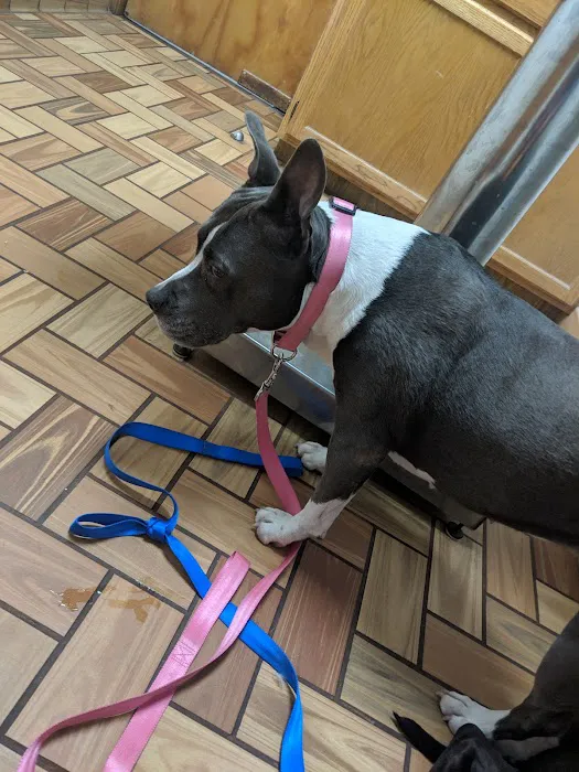 Rolling Hills Veterinary Hospital Picture 1