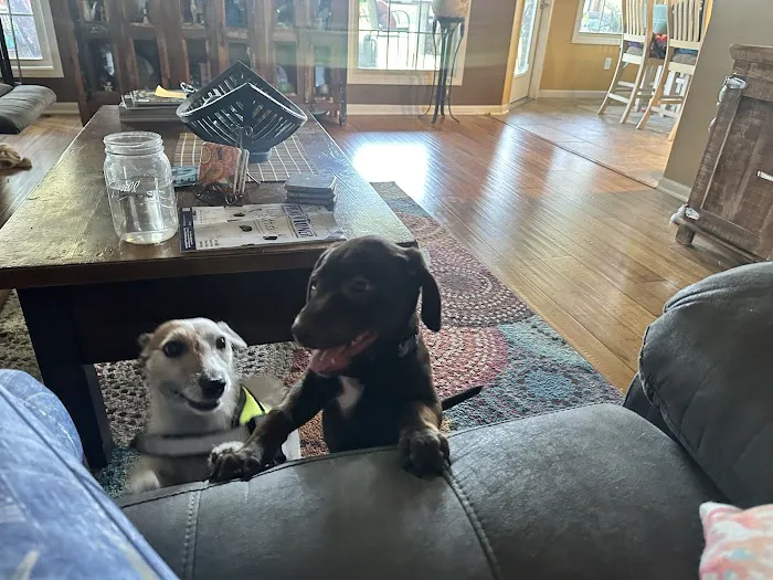 Rolling Hills Veterinary Hospital Picture 7