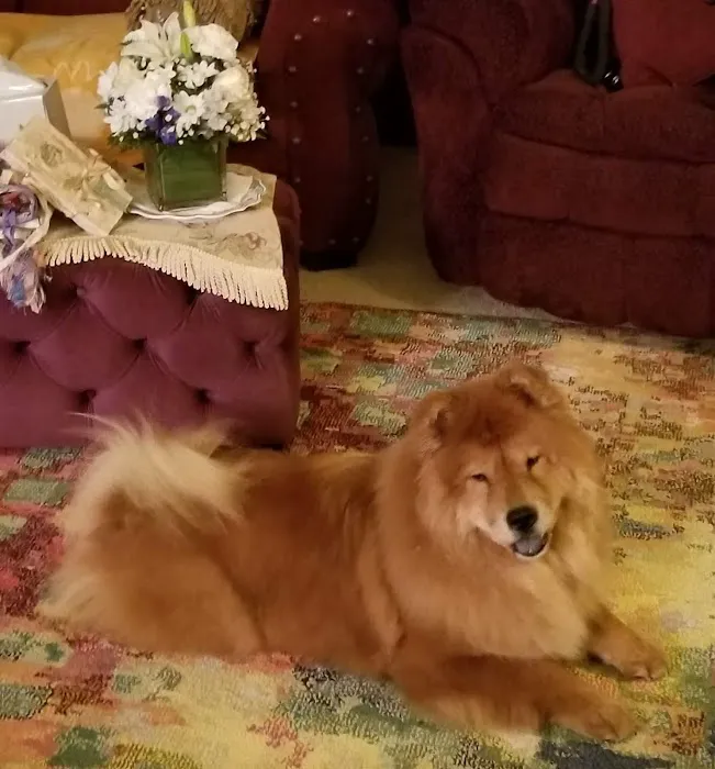 Rolling Hills Veterinary Hospital Picture 8