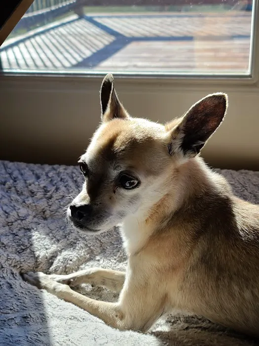 Rolling Hills Veterinary Hospital Picture 5