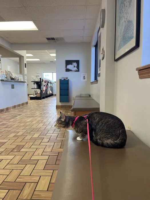 Rolling Hills Veterinary Hospital Picture 9