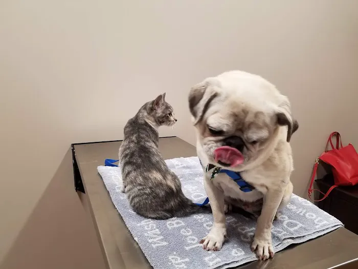 Premier Pet Care Picture 5