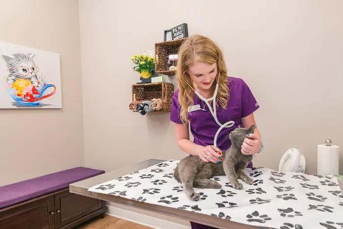 Premier Pet Care Picture 10