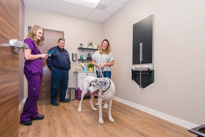 Premier Pet Care Picture 9