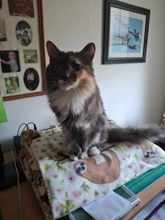 Animal Medical Center of Troy Picture 1