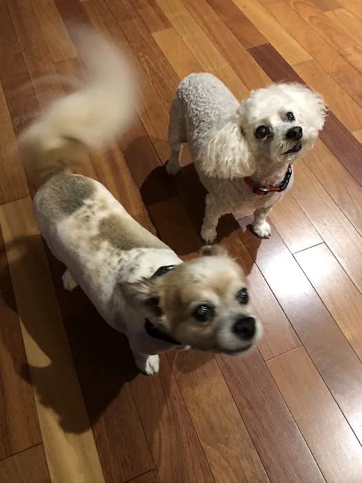 Animal Medical Center of Troy Picture 5