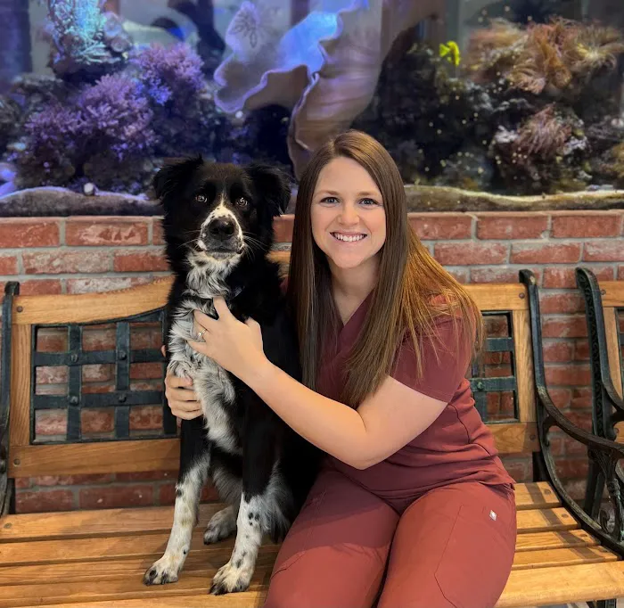 Animal Medical Center of Troy Picture 7