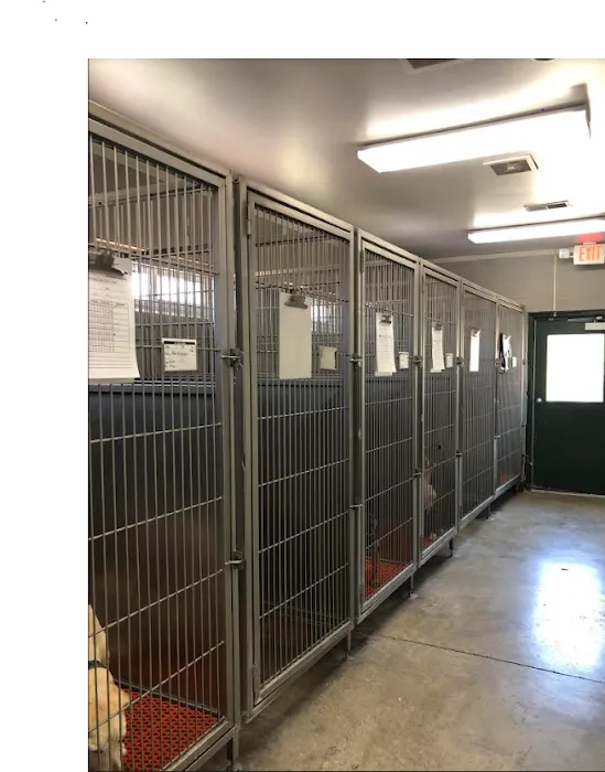 Animal Medical Center of Troy Picture 9