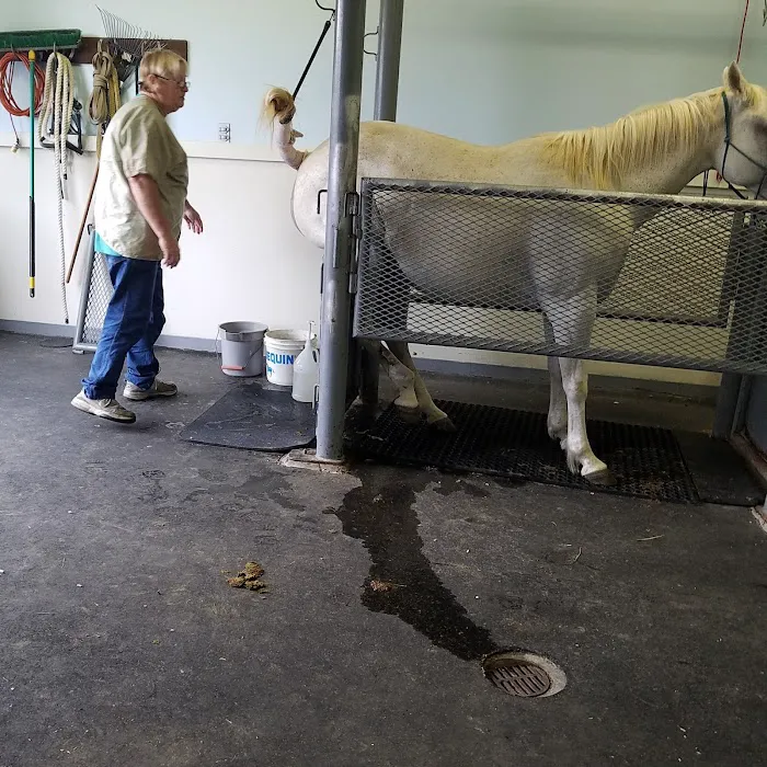 Gate Way Equine Veterinary Picture 7