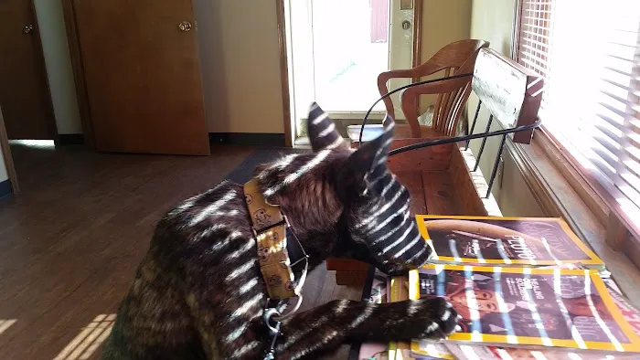 Gate Way Equine Veterinary Picture 4