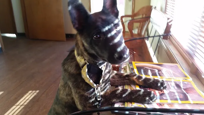 Gate Way Equine Veterinary Picture 5