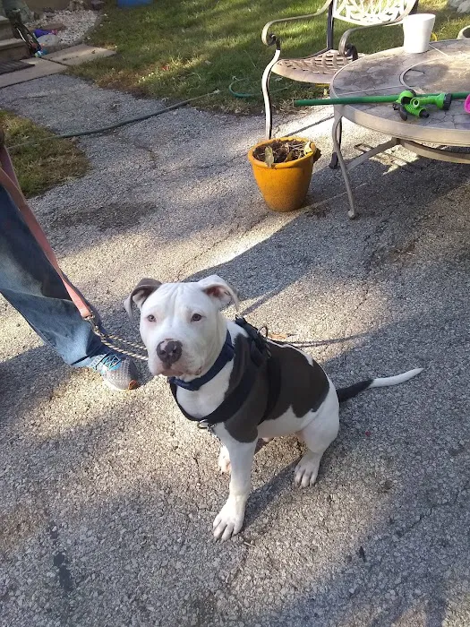 Banfield Pet Hospital Picture 4