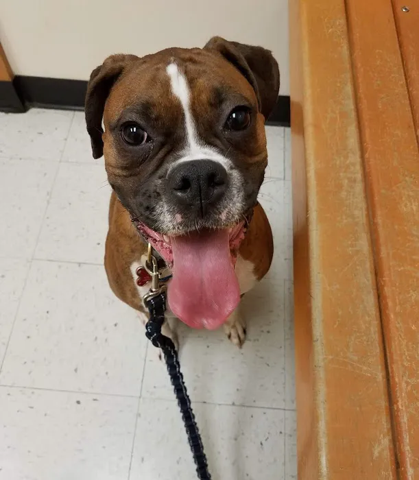 Banfield Pet Hospital Picture 8