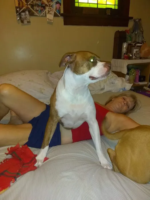 Banfield Pet Hospital Picture 6