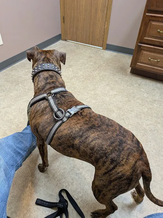 Troy & Wentzville Veterinary Clinics Picture 2