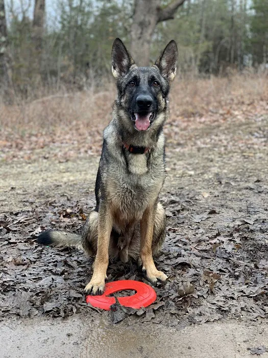Troy & Wentzville Veterinary Clinics Picture 4