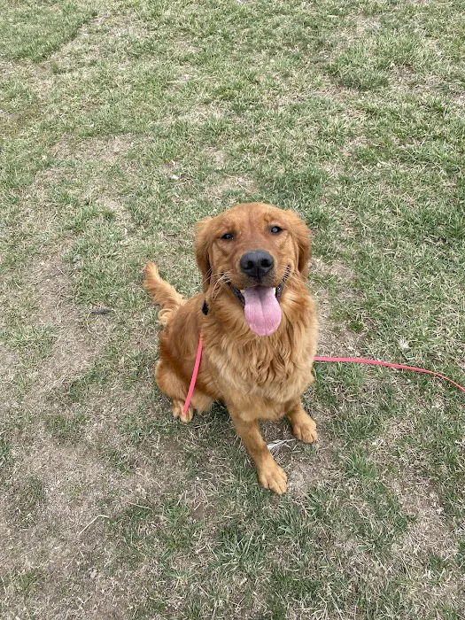 Brinker Dorothy H DVM Picture 2