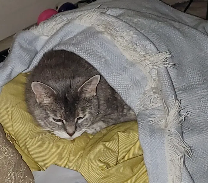 Franklin County Animal Medical Center Picture 3