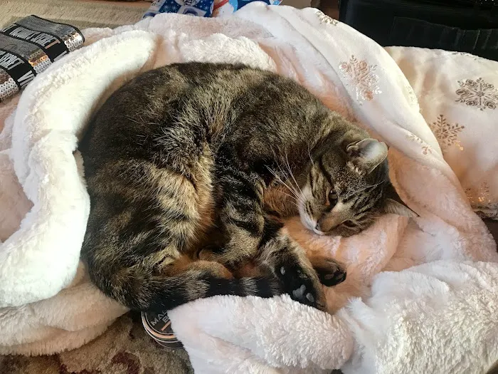 Franklin County Animal Medical Center Picture 1