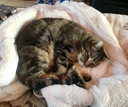 Franklin County Animal Medical Center