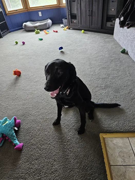 Franklin County Animal Medical Center Picture 4