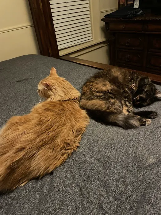 Franklin County Animal Medical Center Picture 5