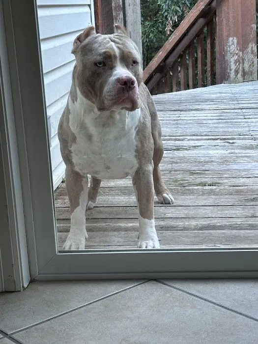 Franklin County Animal Medical Center Picture 9