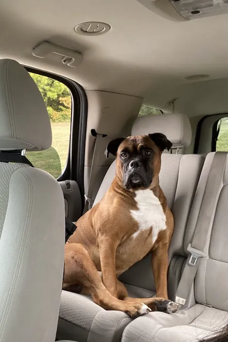 Animal Hospital of Washington Picture 1