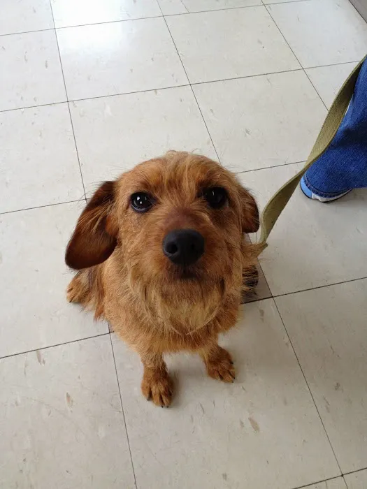 Animal Hospital of Washington Picture 2