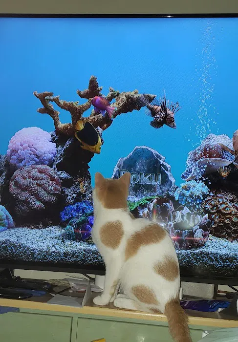 Animal Hospital of Washington Picture 6