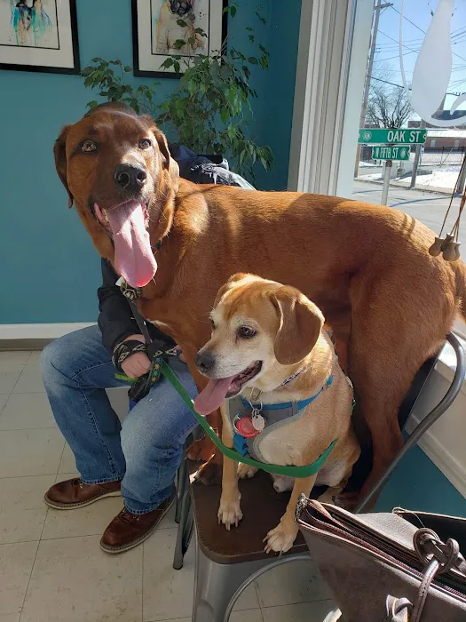 Animal Hospital of Washington Picture 9