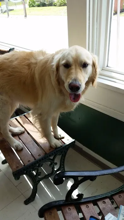 Animal Hospital of Washington Picture 10