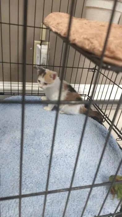 Animal Hospital of Washington: Smith Dan DVM Picture 1