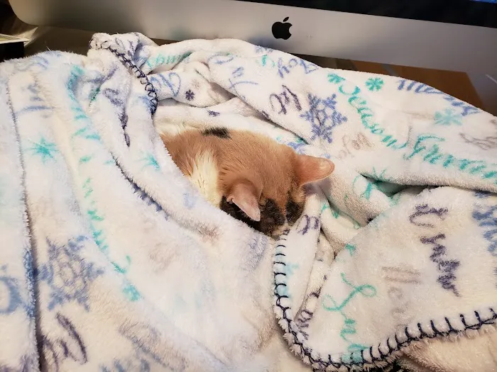 Animal Care Clinic of Washington Picture 2