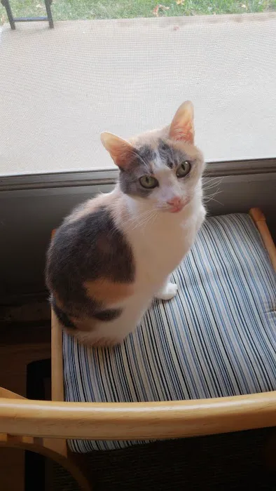 Animal Care Clinic of Washington Picture 1