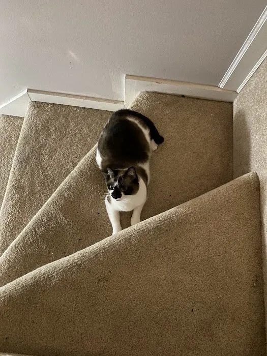 Animal Care Clinic of Washington Picture 3