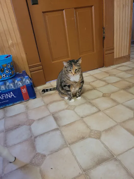 Washington Veterinary Clinic Picture 1