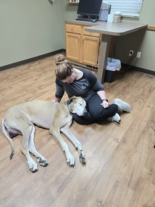 Washington Veterinary Clinic Picture 4