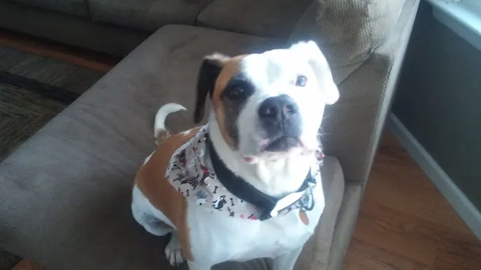 Washington Veterinary Clinic Picture 7